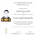 Ampliar imagen: certificate 3