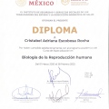 Ampliar imagen: certificate 6
