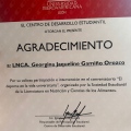Ampliar imagen: certificate 6