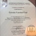 Ampliar imagen: certificate 5