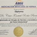 Ampliar imagen: certificate 13