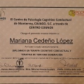 Ampliar imagen: certificate 1