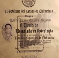 Ampliar imagen: certificate 2