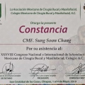 Ampliar imagen: certificate 8