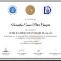 Ampliar imagen: certificate 3