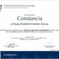 Ampliar imagen: certificate 10