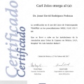 Ampliar imagen: certificate 10