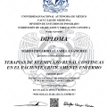 Ampliar imagen: certificate 3