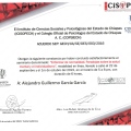 Ampliar imagen: certificate 29