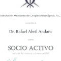 Ampliar imagen: certificate 4