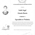 Ampliar imagen: certificate 5