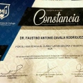 Ampliar imagen: certificate 7
