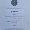 Ampliar imagen: certificate 6