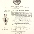Ampliar imagen: certificate 2