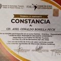 Ampliar imagen: certificate 5