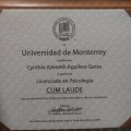 Ampliar imagen: certificate 3