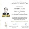 Ampliar imagen: certificate 2