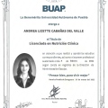 Ampliar imagen: certificate 7