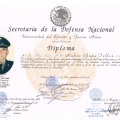 Ampliar imagen: certificate 6