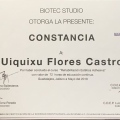 Ampliar imagen: certificate 8