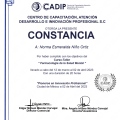 Ampliar imagen: certificate 2