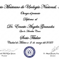 Ampliar imagen: certificate 3