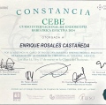 Ampliar imagen: certificate 5