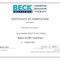 Ampliar imagen: certificate 8