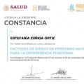 Ampliar imagen: certificate 2