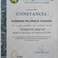 Ampliar imagen: certificate 11