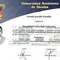 Ampliar imagen: certificate 5