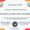 Ampliar imagen: certificate 19