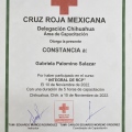 Ampliar imagen: certificate 10