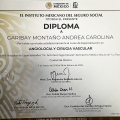 Ampliar imagen: certificate 1