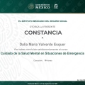 Ampliar imagen: certificate 3