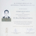 Ampliar imagen: certificate 3
