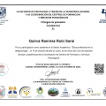 Ampliar imagen: certificate 8
