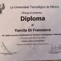 Ampliar imagen: certificate 11