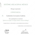 Ampliar imagen: certificate 3