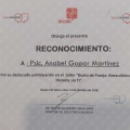 Ampliar imagen: certificate 7