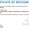Ampliar imagen: certificate 3