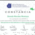 Ampliar imagen: certificate 2