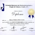 Ampliar imagen: certificate 3