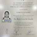 Ampliar imagen: certificate 2
