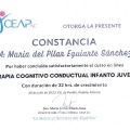 Ampliar imagen: certificate 7