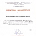 Ampliar imagen: certificate 8