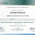 Ampliar imagen: certificate 28