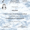 Ampliar imagen: certificate 25