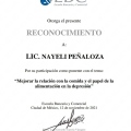 Ampliar imagen: certificate 13