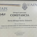 Ampliar imagen: certificate 1